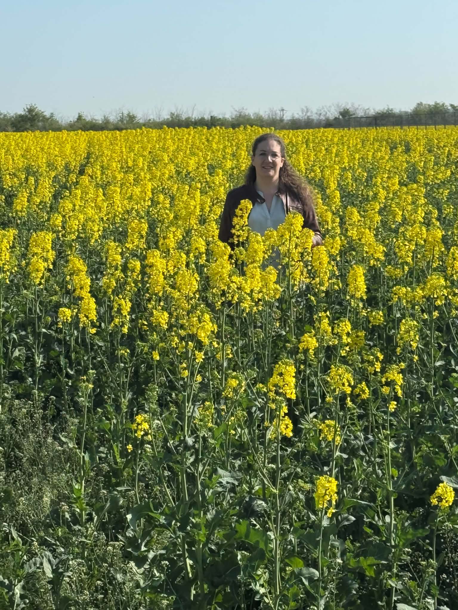 Jackie in the meadow